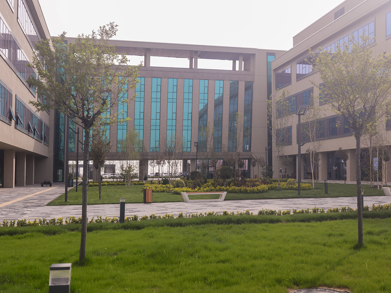 Illustrations by my fav AarzooAly