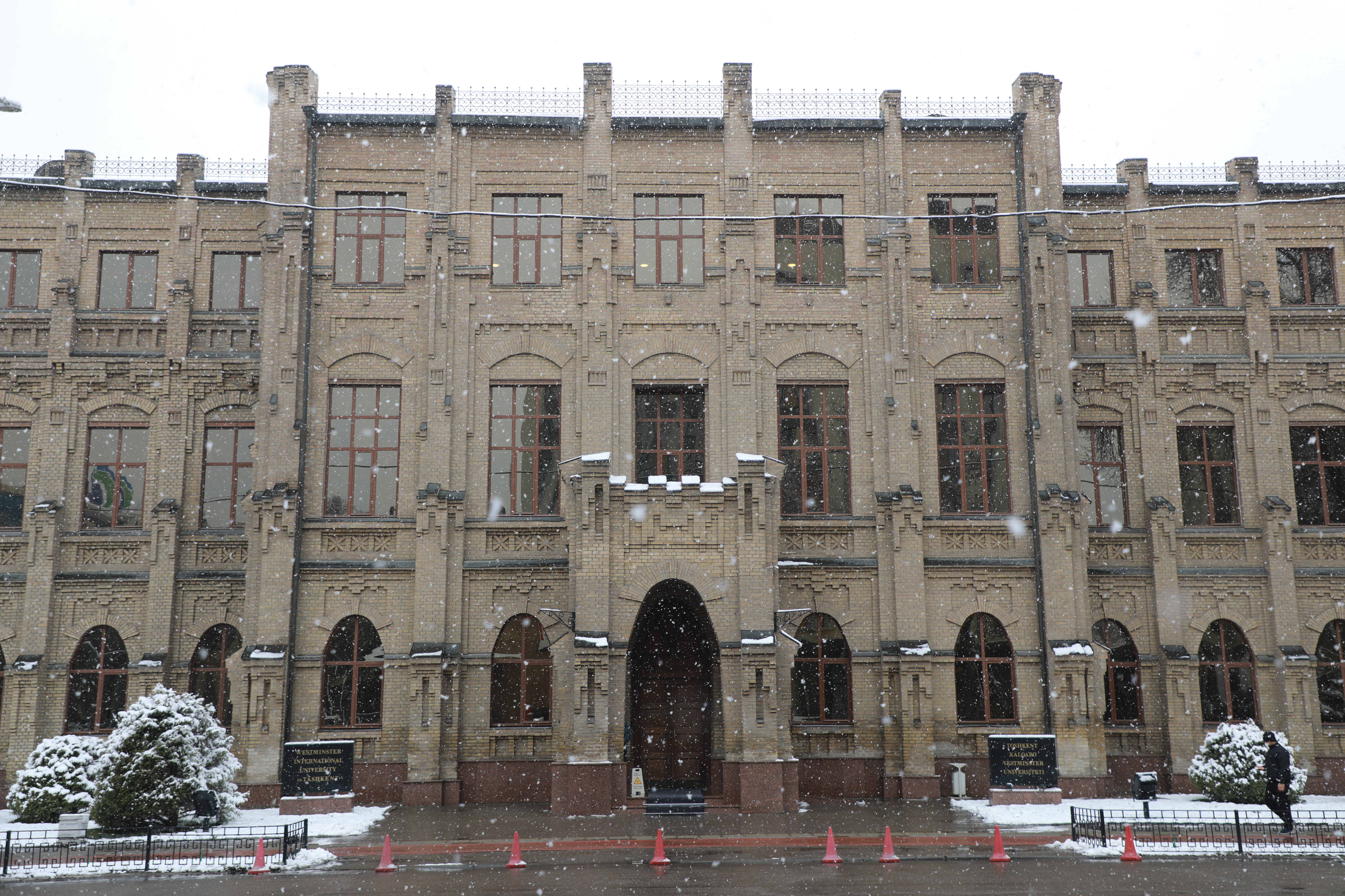 Illustrations by my fav AarzooAly